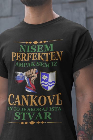 Nisem Perfekten, Ampak Sem Iz Cankove In To Je Skoraj Ista Stvar