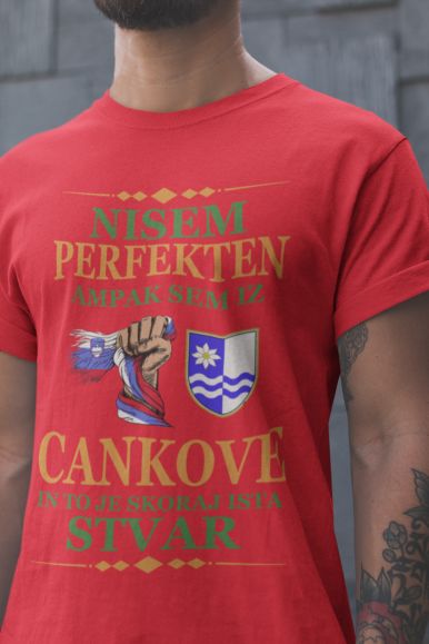 Nisem Perfekten, Ampak Sem Iz Cankove In To Je Skoraj Ista Stvar